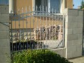 /album/kepgaleria-kepgaleria/kovvas-273-jpg/